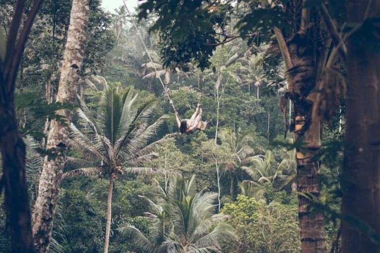 Unleashing the Adventurer Within: Embracing Outdoor Travel for Thrilling Escapades